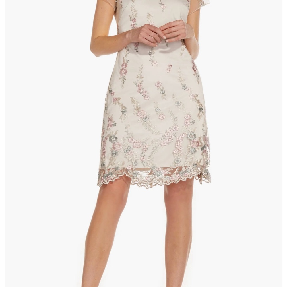 Floral Embroidery Illusion Lace Shift Dress